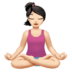 :woman_in_lotus_position:t2: :woman_in_lotus_position:t2: