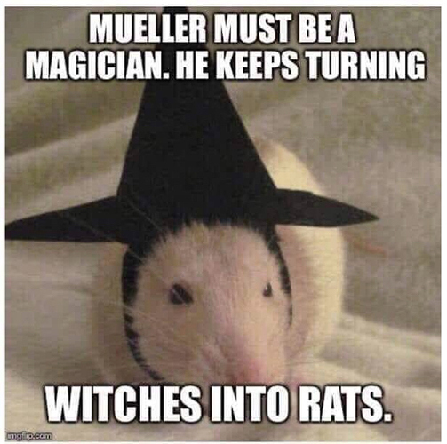 Trump%20WItches%20to%20Rats