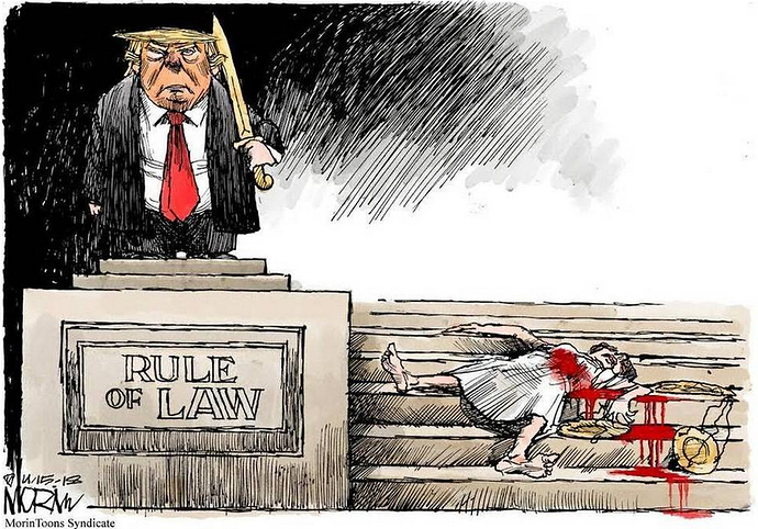 Trump%20Cartoon%20Rule%20of%20Law
