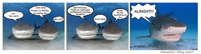 sharks talking trump professional courtesy FINISHED