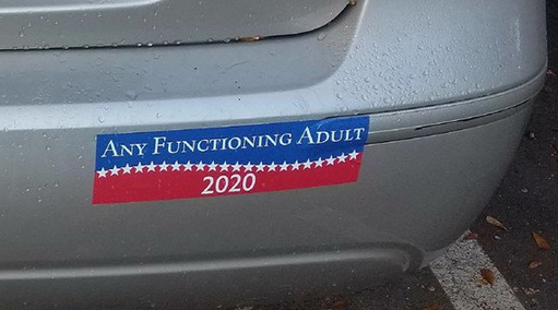 Trump%202020%20Any%20functioning%20Adult